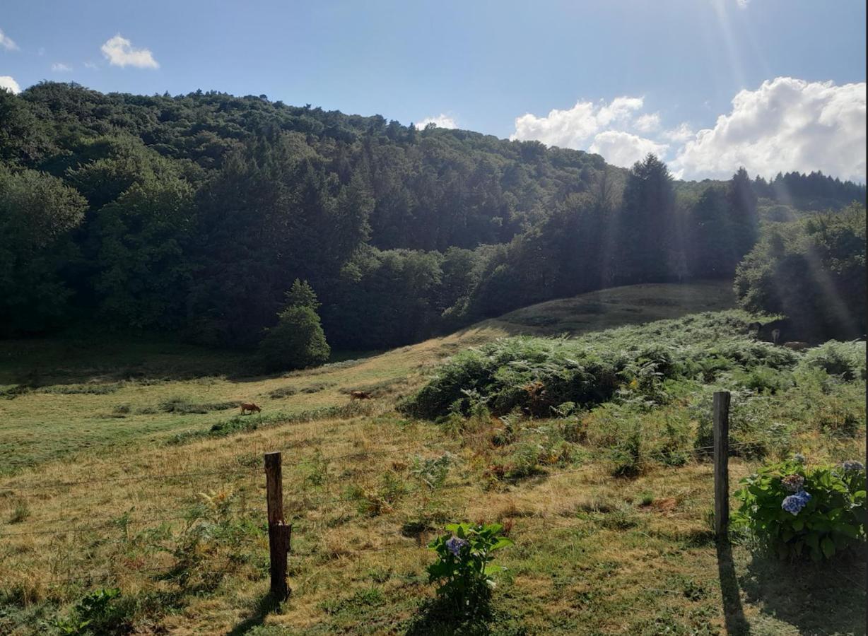 Chalet Charmant A Saint-Sylvestre Avec Terrasse Et Jardin Ambazac Esterno foto